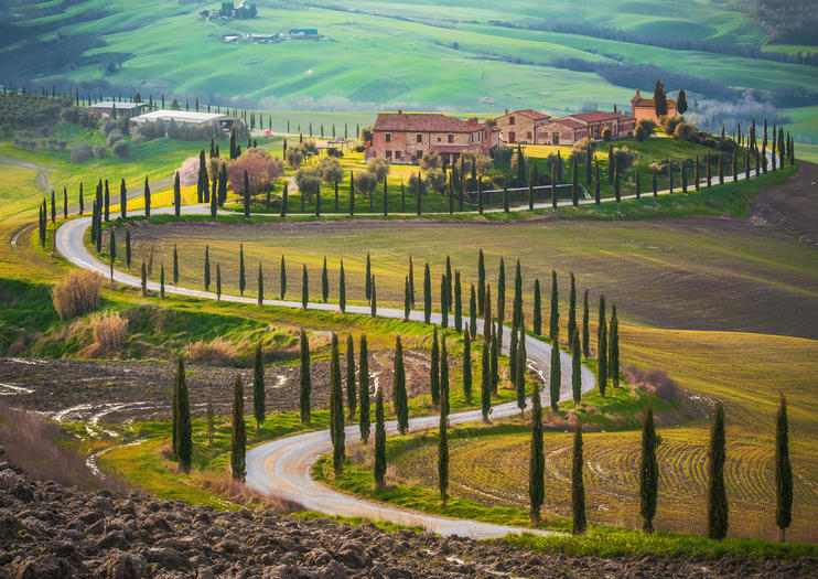 ONE DAY IN TUSCANY